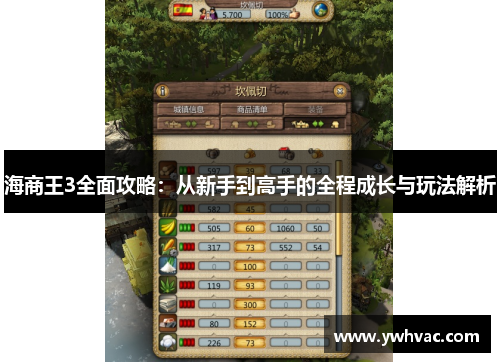 海商王3全面攻略：从新手到高手的全程成长与玩法解析